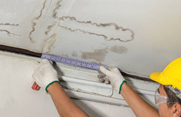 Reliable Mold Remediation contractor in Vesper, WI by Water Damage Irwin